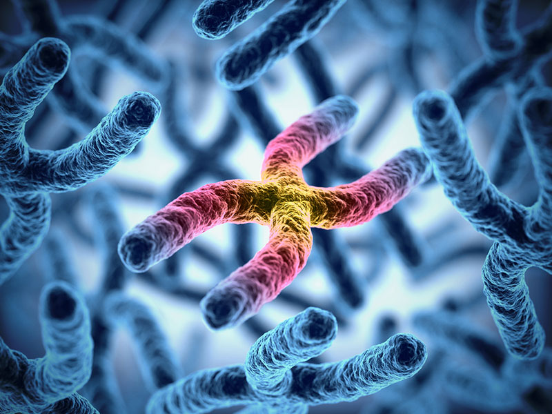 3D illustration of chromosomes.