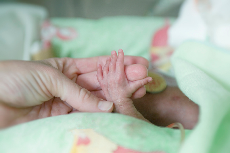 Closeup of tiny preterm infant hand grasping adult fingers.