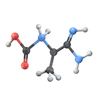 Structural model of the creatine molecule.