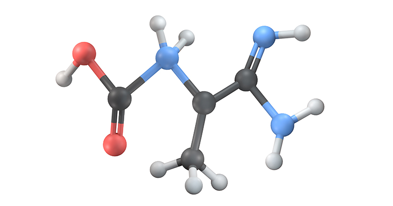 Structural model of the creatine molecule.
