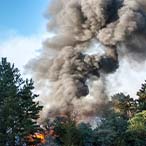 Smoke from a wildfire rising through trees.