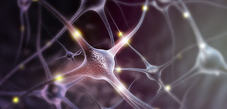 Illustration of neurons sending signals to one another.