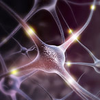 Illustration of neurons sending signals to one another.