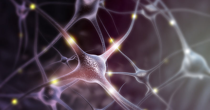 Illustration of neurons sending signals to one another.