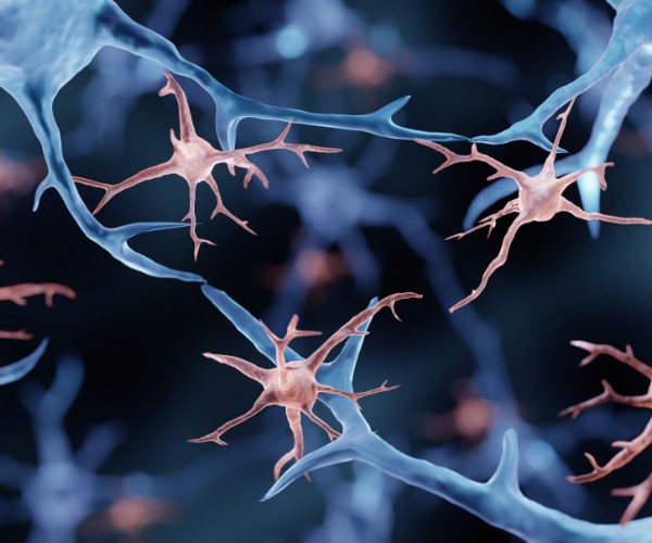 Illustration of brain cells in blue and pink against a black background.