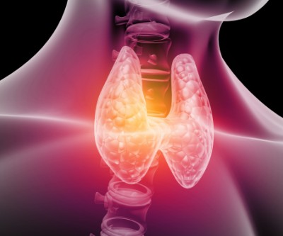 Three dimensional graphic of the thyroid gland, which is visible in the throat area.