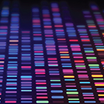 Multi color blocks signifying various DNA segments.