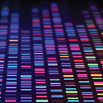 Multi color blocks signifying various DNA segments.