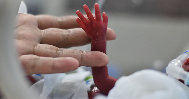 Adult human hand holding tiny preterm infant arm and hand.