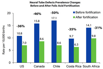 A bar graph from the Centers for Disease Control and Prevention shows the reduction in neural tube defects in the U.S., Canada, and other countries after fortification of the grain supply with folic acid. Rate per 10,000 births:  United States had a -36% drop: 10.8 before fortification and 7.0 after fortification.  Canada had a -46% drop: 15.8 before fortification and 8.6 after fortification.  Chile had a -50% drop: 17.1 before fortification and 8.6 after fortification.  Costa Rica had a -35% drop: 9.6 before fortification and 6.3 after fortification.  South Africa had a -31% drop: 14.1 before fortification and 9.8 after fortification.  