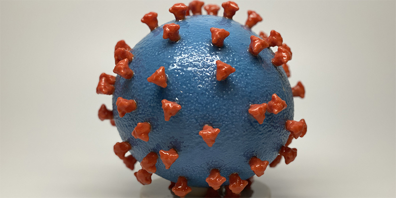 Three-dimensional model of a SARS-CoV-2 particle showing the spike protein protruding from the viral surface.