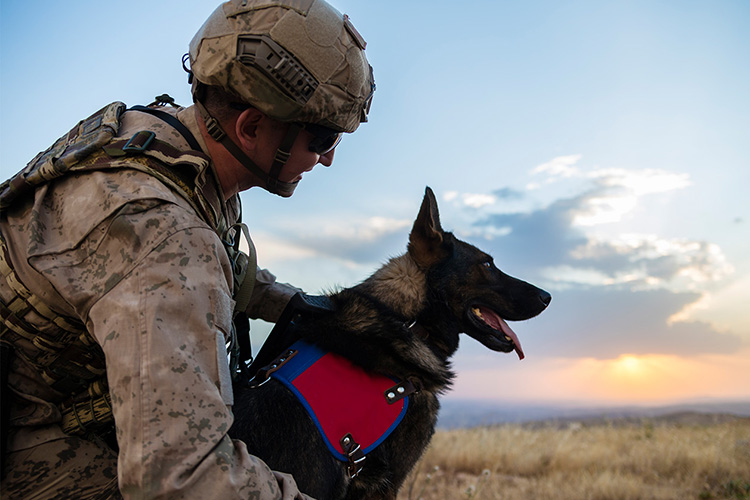 A military member with a service dog