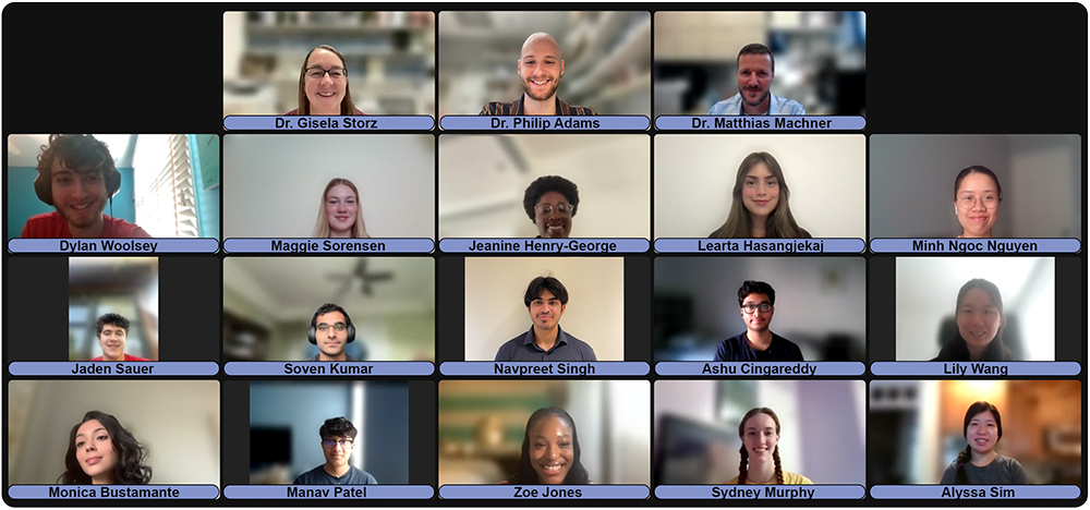 Screenshot of Zoom meeting with V-SOAR Interns 2023.
