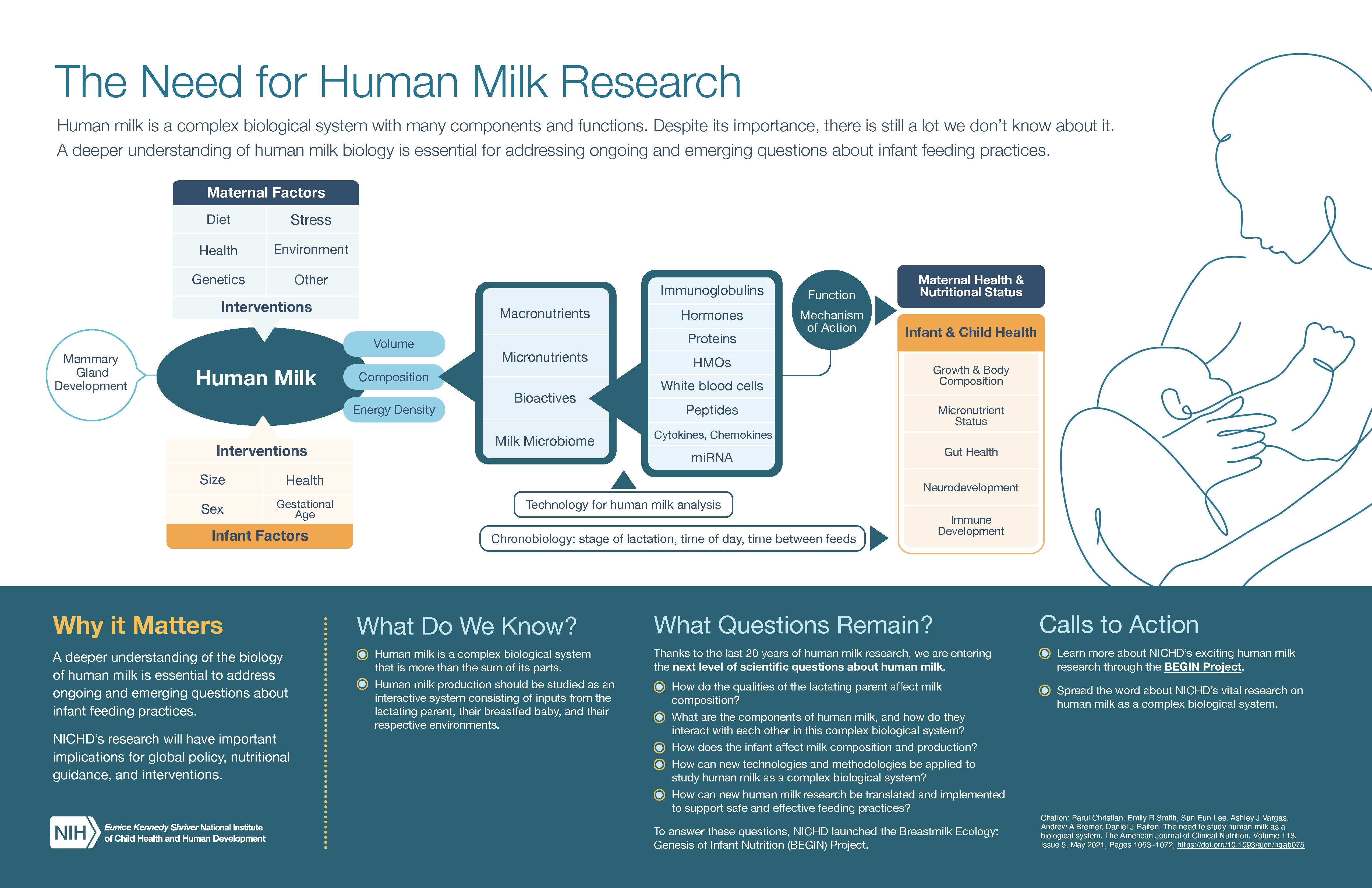 The Biology of Human Milk Infographic