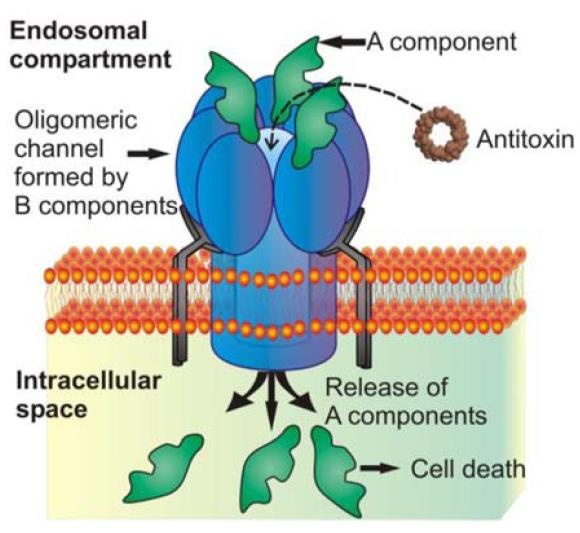 See figure caption 1