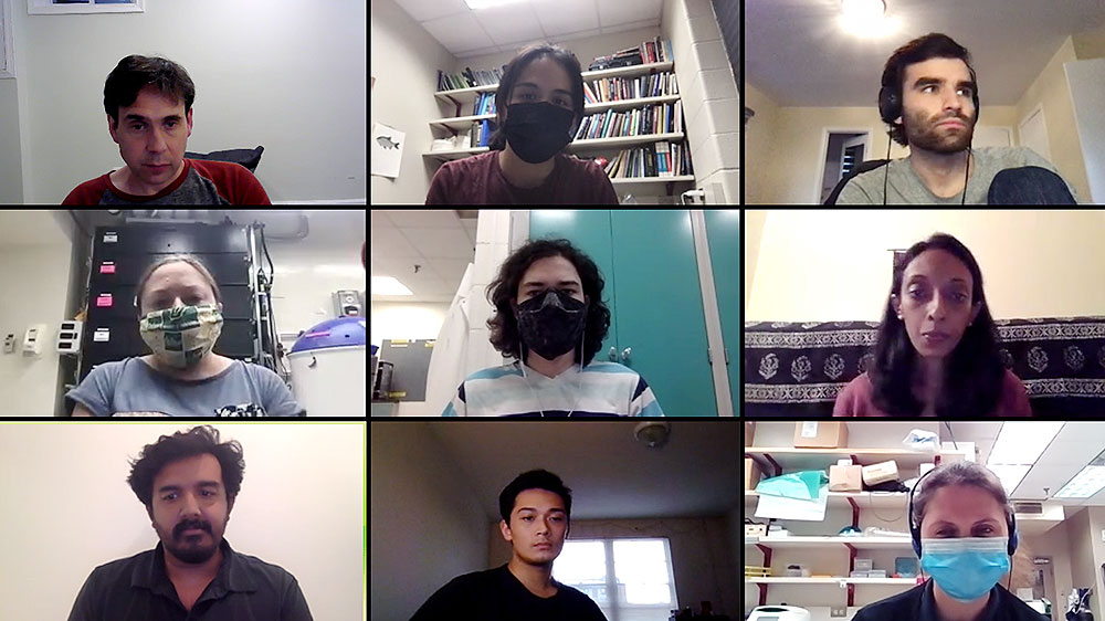 Burgess Lab in online meeting.