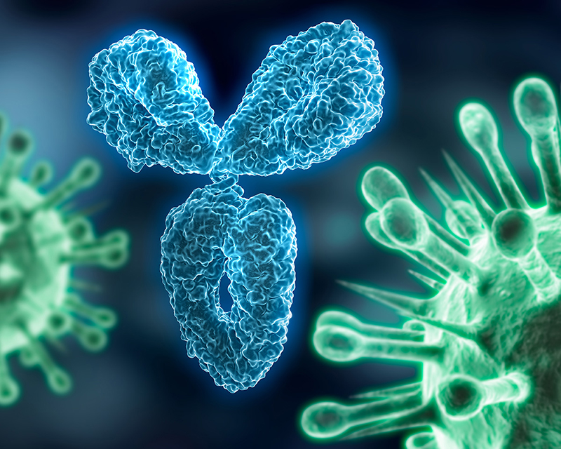 Computer-generated image of an antibody with fork on top and base on bottom.