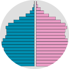 Demographic graph