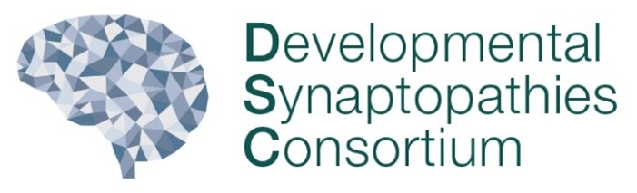 Developmental Synaptopathies Consortium logo.
