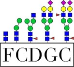 Frontiers in Congenital Disorders of Glycosylation logo.