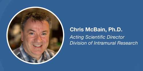 Chris McBain, Ph.D., Acting Scientific Director Division of Intramural Research