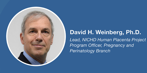 David H. Weinberg, Ph.D. Lead, NICHD Human Placenta Project Program Officer, Pregnancy and Perinatology Branch