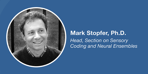 Mark Stopfer, Ph.D. Head, Section on Sensory Coding and Neural Ensembles