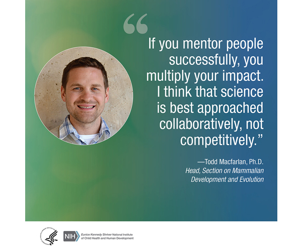 Quote from Todd Macfarlan, Ph.D., Head of the Section on Mammalian Development and Evolution: “If you mentor people successfully, you multiply your impact. I think that science is best approached collaboratively, not competitively.”