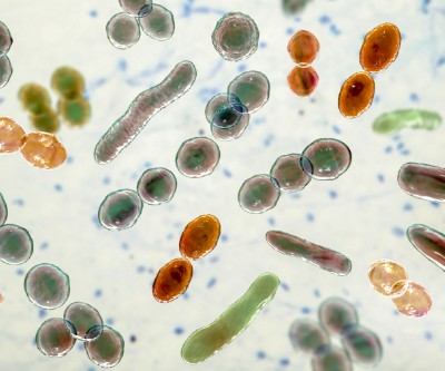 Illustration of bacteria of different shapes, including cocci and rod-shaped bacteria.