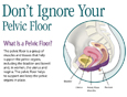 Don't Ignore Your Pelvic Floor