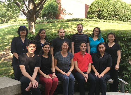 Storz lab members seated outside in dappled sun and shade