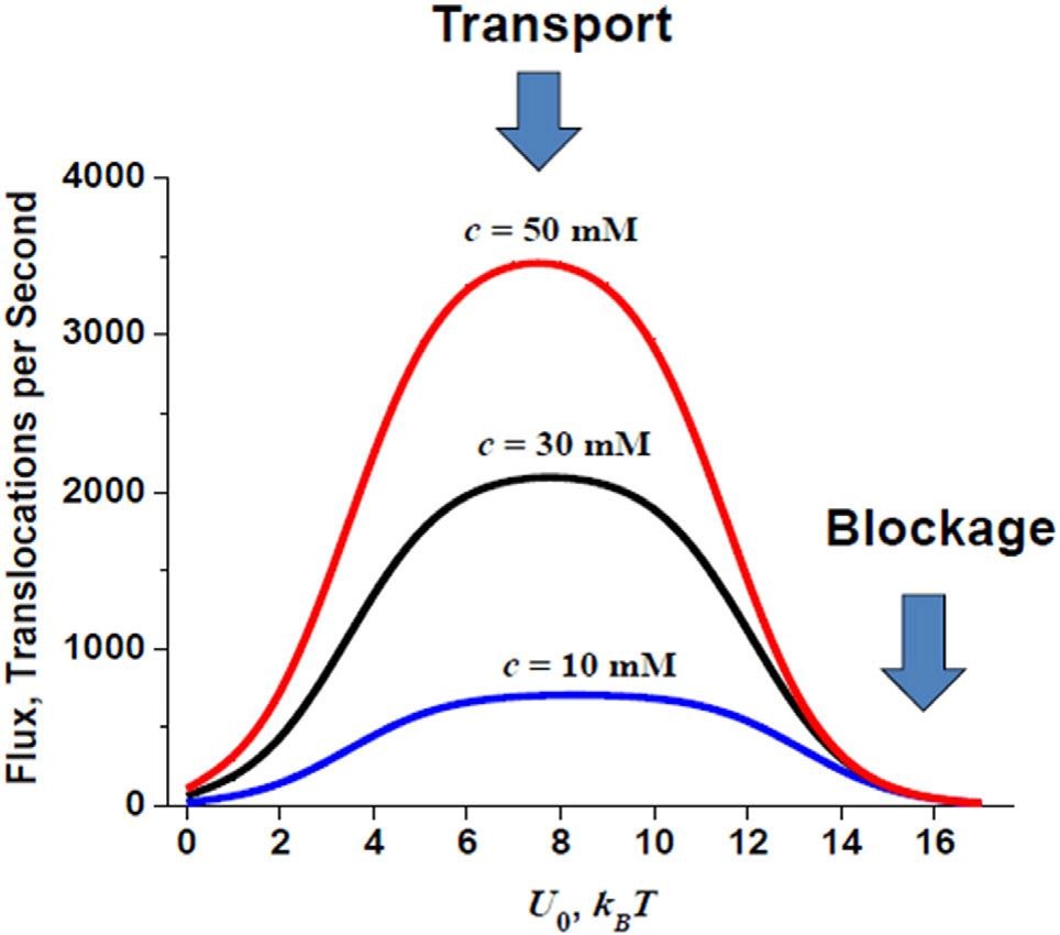 Channel facilitated transport graph