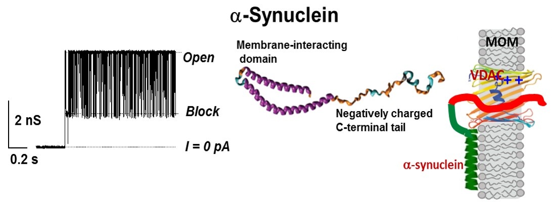 See figure caption 3