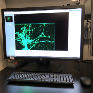 Workstation 2 in the lab.