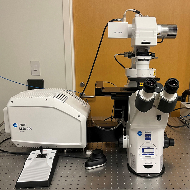 Zeiss LSM 780 microscope.