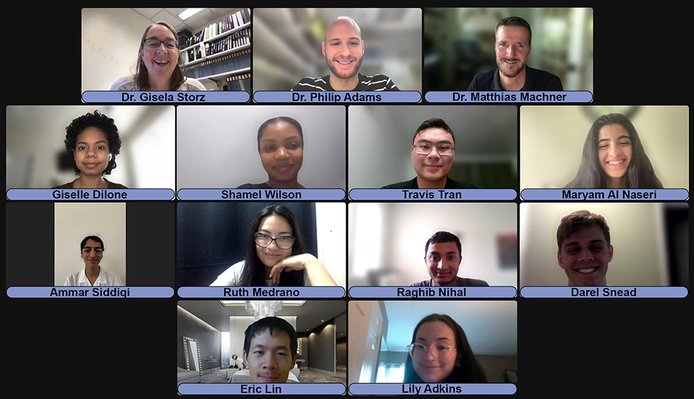 Screenshot of Zoom meeting with Summer 2022 Interns.