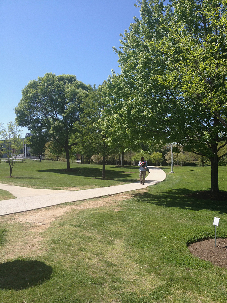 A man carrying a small child walks on a sidewalk surrounded by green grass and trees.
