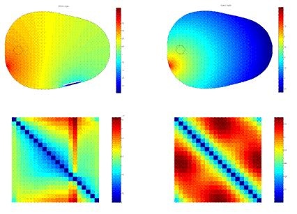 Sinograms of an active site.