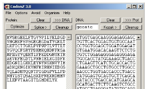 Screenshot of CodonZ application.