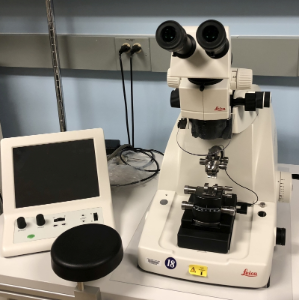 Leica EM UC7 Ultramicrotome in the lab.