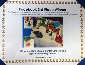 Gingerbread house winner certificate.