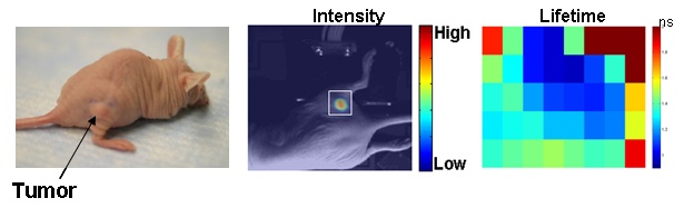 See figure caption 1
