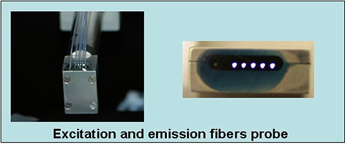 Excittation and emmisions fiber probe. 