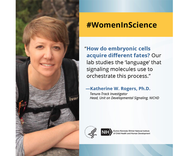 Women in Science quote from tenure-track investigator Dr. Katherine W. Rogers: “How do embryonic cells acquire different fates? Our lab studies the ‘language’ that signaling molecules use to orchestrate this process.” 