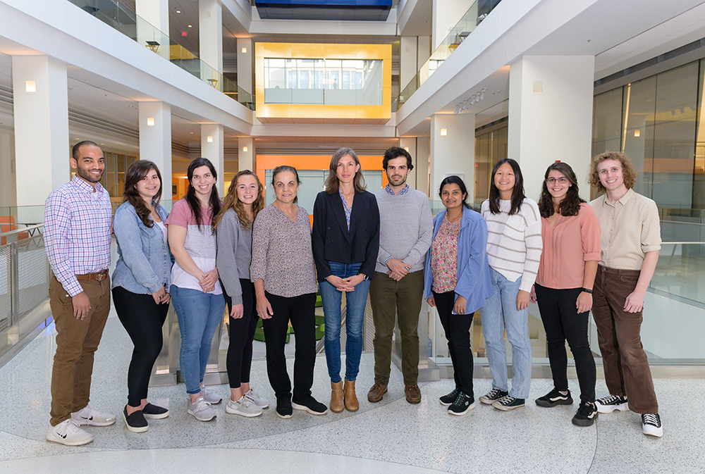 Group photo of Claire Le Pichon lab.