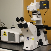 Zeiss LSM 780 microscope.