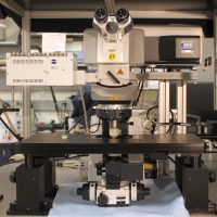 Zeiss LSM 880 Upright 2-Photon microscope.