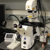 Zeiss Wide-Field microscope.