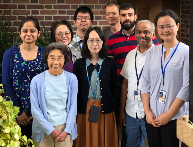 Group photo of Ozato lab.