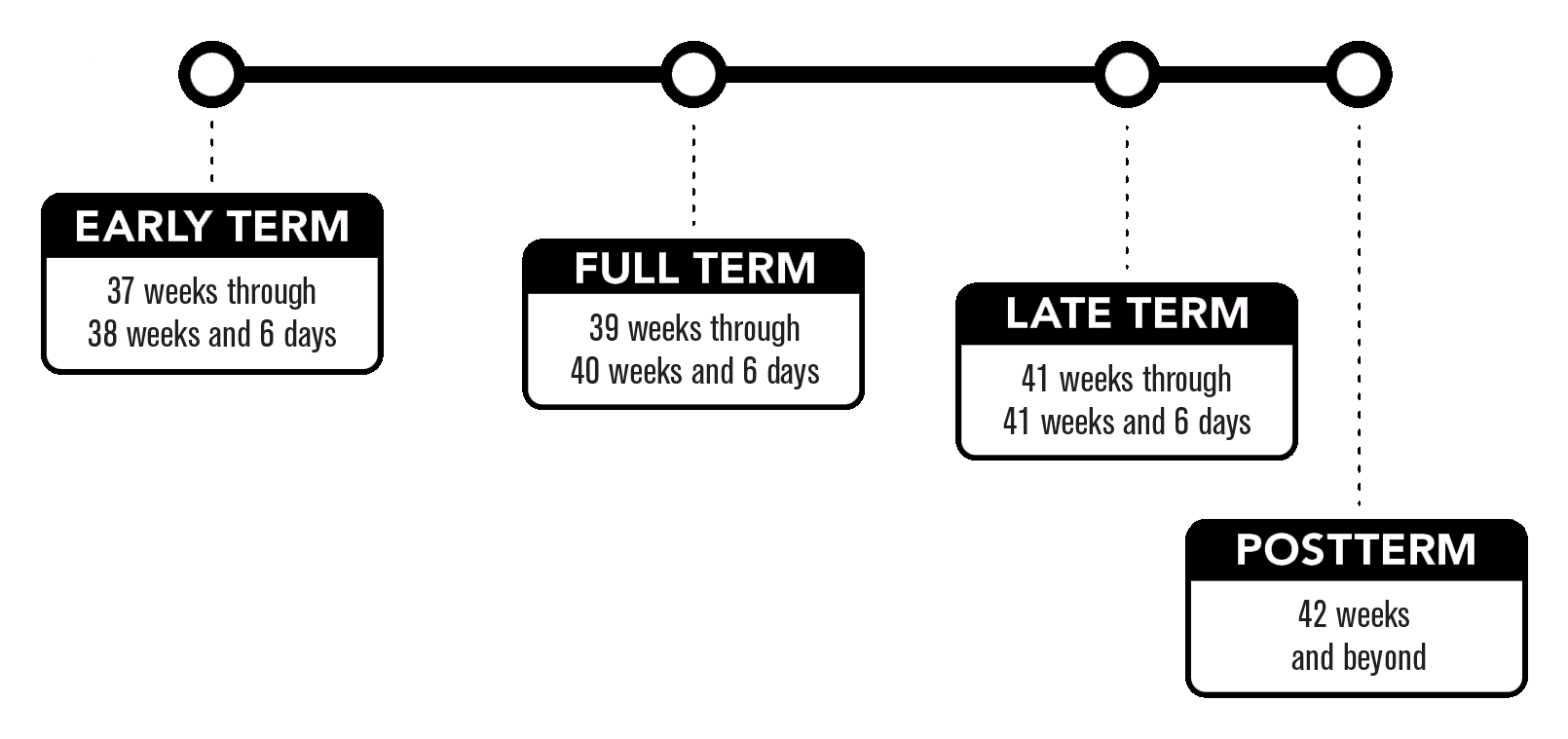 Pregnancy Baby Chart Week By Week